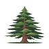 Cedar Icon